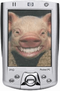 Click here to go back home again...